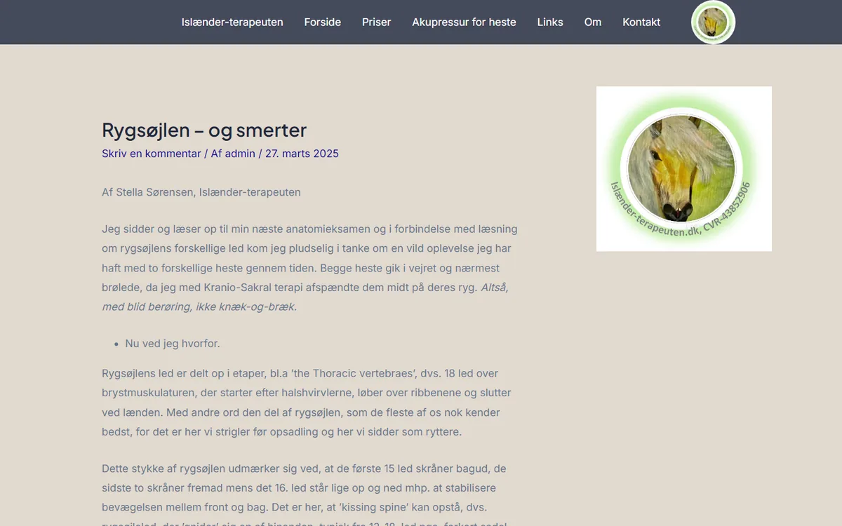 Før: kundens hjemmeside, som den så ud før