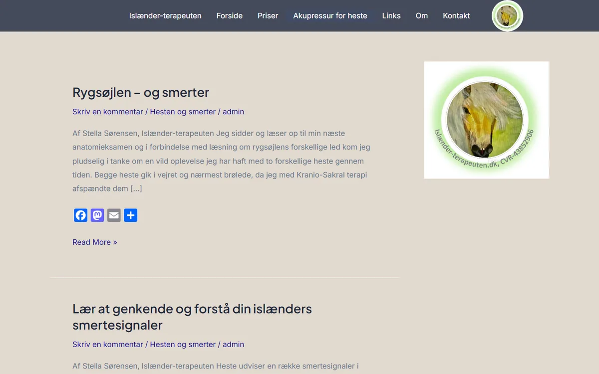 Før: kundens hjemmeside, som den så ud før